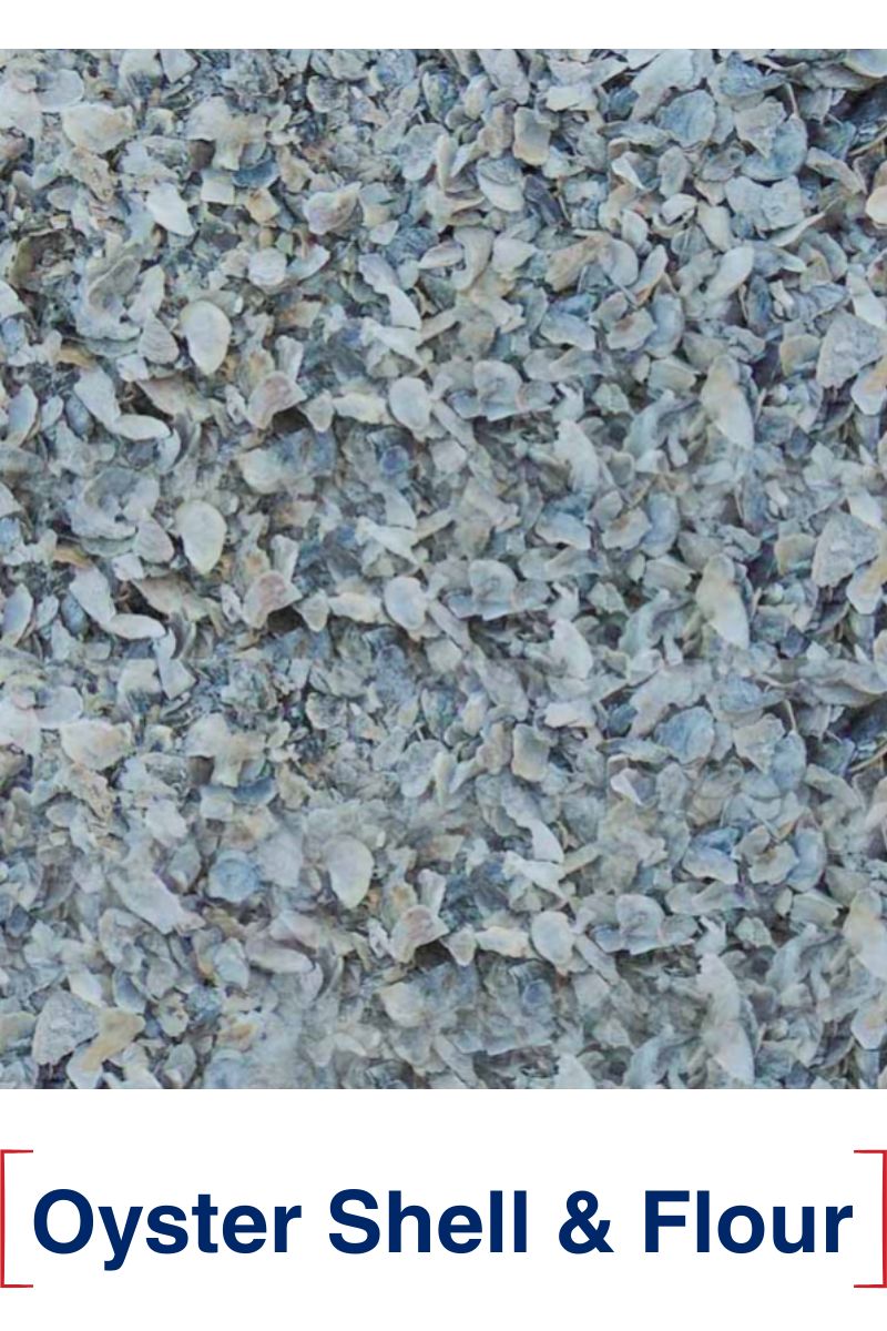 Oyster Shell & Flour