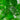 Light Green Fire Glass
