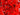 Strawberry Fire Glass