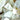 Confetti Landscape Glass